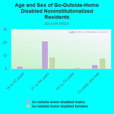 Age and Sex of Go-Outside-Home Disabled Noninstitutionalized Residents