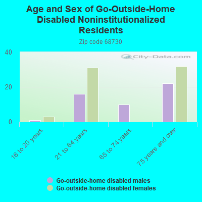 Age and Sex of Go-Outside-Home Disabled Noninstitutionalized Residents