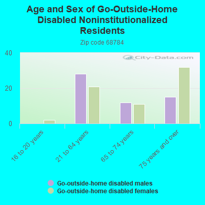 Age and Sex of Go-Outside-Home Disabled Noninstitutionalized Residents