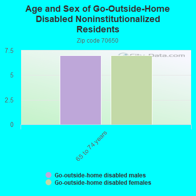 Age and Sex of Go-Outside-Home Disabled Noninstitutionalized Residents