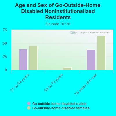 Age and Sex of Go-Outside-Home Disabled Noninstitutionalized Residents