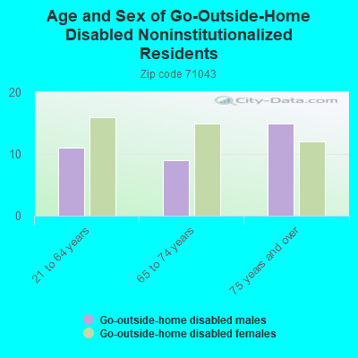 Age and Sex of Go-Outside-Home Disabled Noninstitutionalized Residents