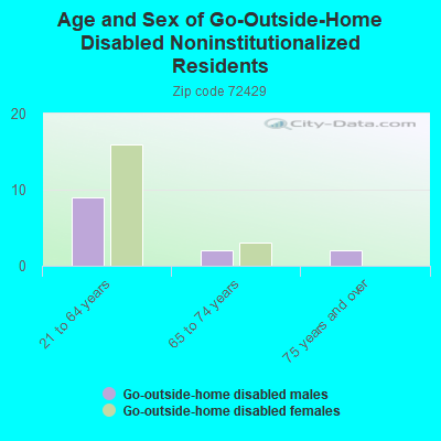 Age and Sex of Go-Outside-Home Disabled Noninstitutionalized Residents