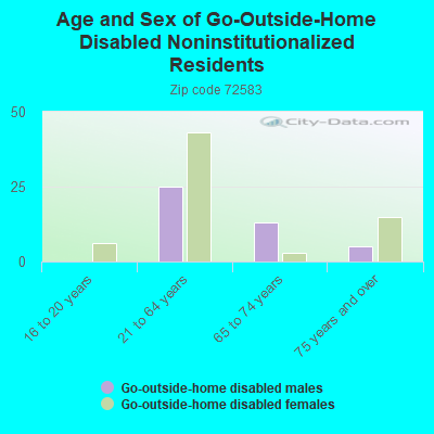 Age and Sex of Go-Outside-Home Disabled Noninstitutionalized Residents