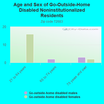 Age and Sex of Go-Outside-Home Disabled Noninstitutionalized Residents