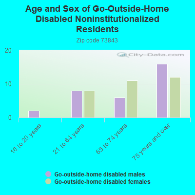 Age and Sex of Go-Outside-Home Disabled Noninstitutionalized Residents