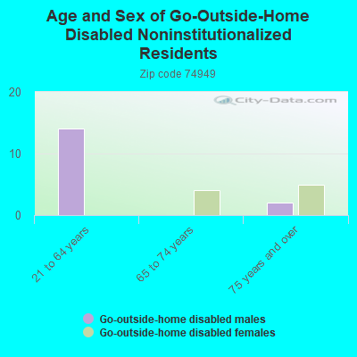 Age and Sex of Go-Outside-Home Disabled Noninstitutionalized Residents