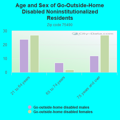 Age and Sex of Go-Outside-Home Disabled Noninstitutionalized Residents