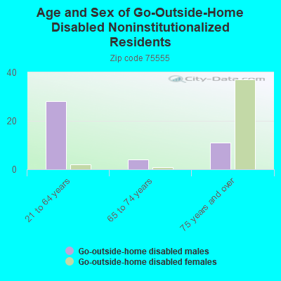 Age and Sex of Go-Outside-Home Disabled Noninstitutionalized Residents