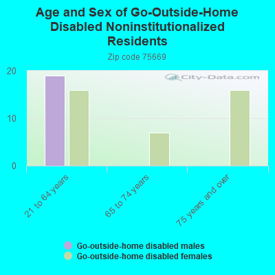 Age and Sex of Go-Outside-Home Disabled Noninstitutionalized Residents