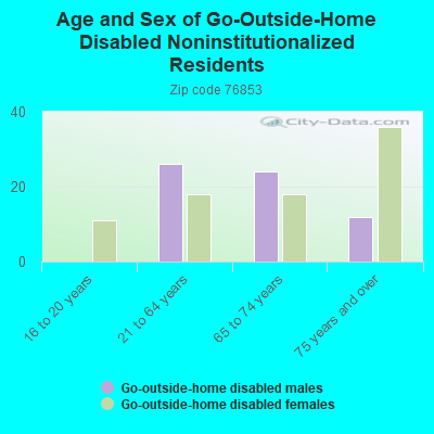 Age and Sex of Go-Outside-Home Disabled Noninstitutionalized Residents