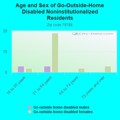 Age and Sex of Go-Outside-Home Disabled Noninstitutionalized Residents