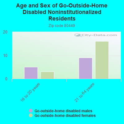 Age and Sex of Go-Outside-Home Disabled Noninstitutionalized Residents