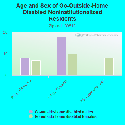 Age and Sex of Go-Outside-Home Disabled Noninstitutionalized Residents