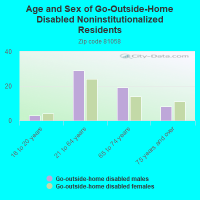 Age and Sex of Go-Outside-Home Disabled Noninstitutionalized Residents