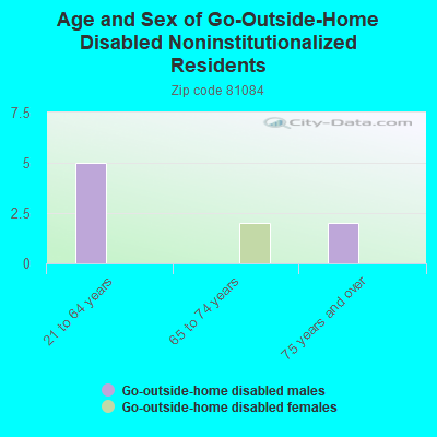 Age and Sex of Go-Outside-Home Disabled Noninstitutionalized Residents