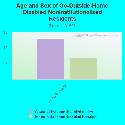 Age and Sex of Go-Outside-Home Disabled Noninstitutionalized Residents