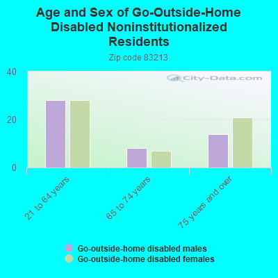 Age and Sex of Go-Outside-Home Disabled Noninstitutionalized Residents