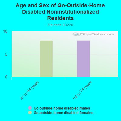 Age and Sex of Go-Outside-Home Disabled Noninstitutionalized Residents