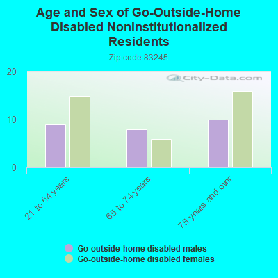 Age and Sex of Go-Outside-Home Disabled Noninstitutionalized Residents