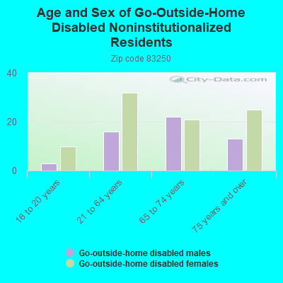 Age and Sex of Go-Outside-Home Disabled Noninstitutionalized Residents