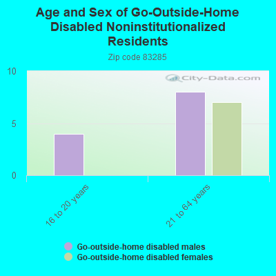 Age and Sex of Go-Outside-Home Disabled Noninstitutionalized Residents