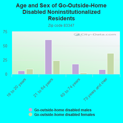 Age and Sex of Go-Outside-Home Disabled Noninstitutionalized Residents