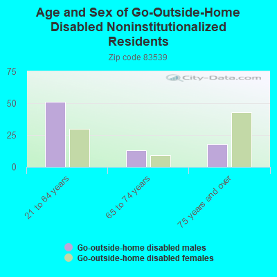 Age and Sex of Go-Outside-Home Disabled Noninstitutionalized Residents