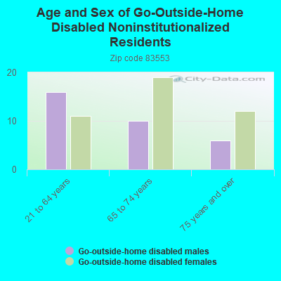 Age and Sex of Go-Outside-Home Disabled Noninstitutionalized Residents