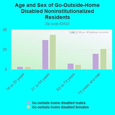 Age and Sex of Go-Outside-Home Disabled Noninstitutionalized Residents