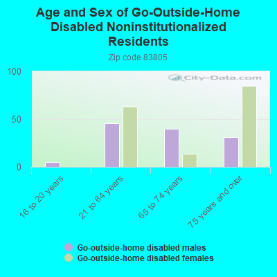 Age and Sex of Go-Outside-Home Disabled Noninstitutionalized Residents