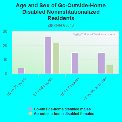 Age and Sex of Go-Outside-Home Disabled Noninstitutionalized Residents