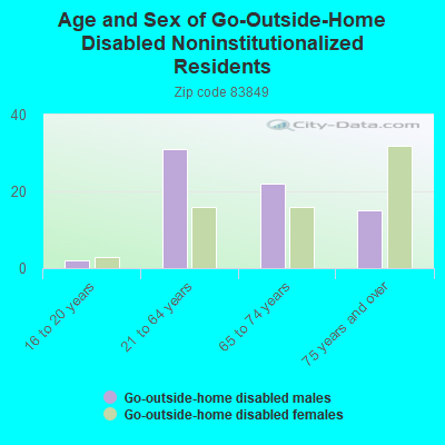 Age and Sex of Go-Outside-Home Disabled Noninstitutionalized Residents