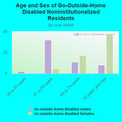 Age and Sex of Go-Outside-Home Disabled Noninstitutionalized Residents