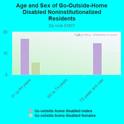 Age and Sex of Go-Outside-Home Disabled Noninstitutionalized Residents