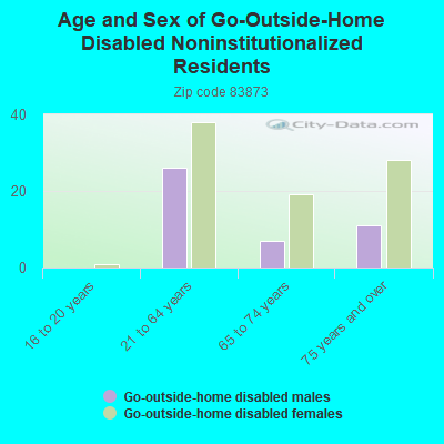 Age and Sex of Go-Outside-Home Disabled Noninstitutionalized Residents