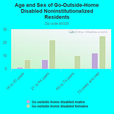 Age and Sex of Go-Outside-Home Disabled Noninstitutionalized Residents