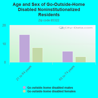 Age and Sex of Go-Outside-Home Disabled Noninstitutionalized Residents