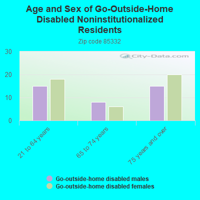 Age and Sex of Go-Outside-Home Disabled Noninstitutionalized Residents