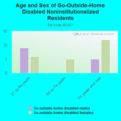 Age and Sex of Go-Outside-Home Disabled Noninstitutionalized Residents