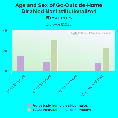 Age and Sex of Go-Outside-Home Disabled Noninstitutionalized Residents