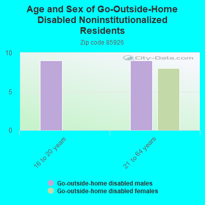 Age and Sex of Go-Outside-Home Disabled Noninstitutionalized Residents