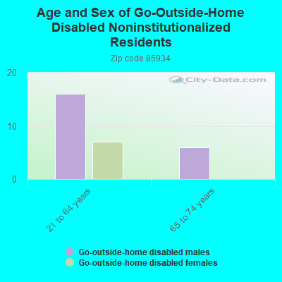 Age and Sex of Go-Outside-Home Disabled Noninstitutionalized Residents