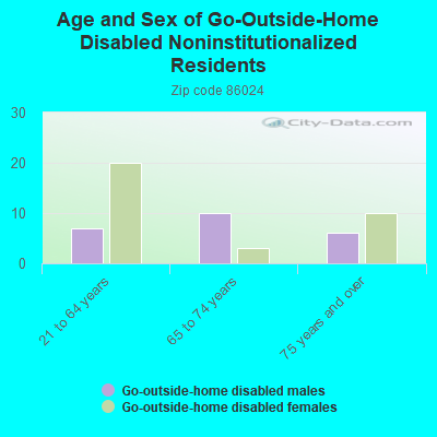 Age and Sex of Go-Outside-Home Disabled Noninstitutionalized Residents