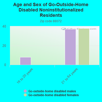 Age and Sex of Go-Outside-Home Disabled Noninstitutionalized Residents