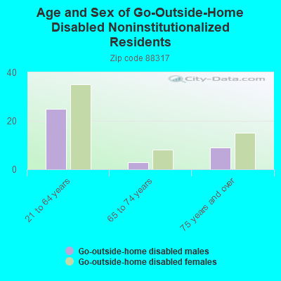 Age and Sex of Go-Outside-Home Disabled Noninstitutionalized Residents