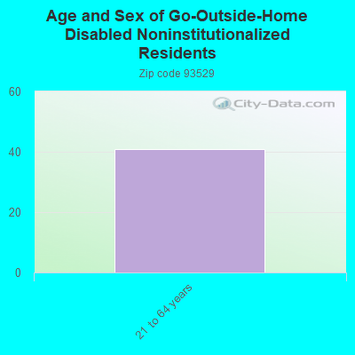 Age and Sex of Go-Outside-Home Disabled Noninstitutionalized Residents