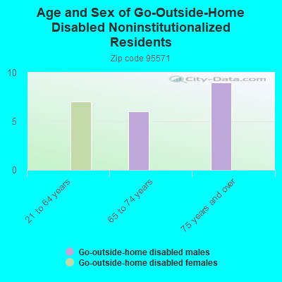 Age and Sex of Go-Outside-Home Disabled Noninstitutionalized Residents