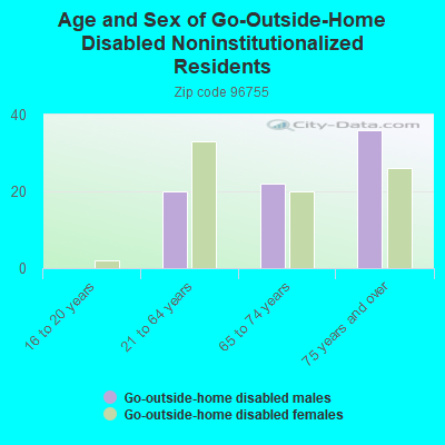 Age and Sex of Go-Outside-Home Disabled Noninstitutionalized Residents