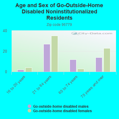 Age and Sex of Go-Outside-Home Disabled Noninstitutionalized Residents